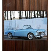 Металлическая табличка Fiat 1200 TV Spider